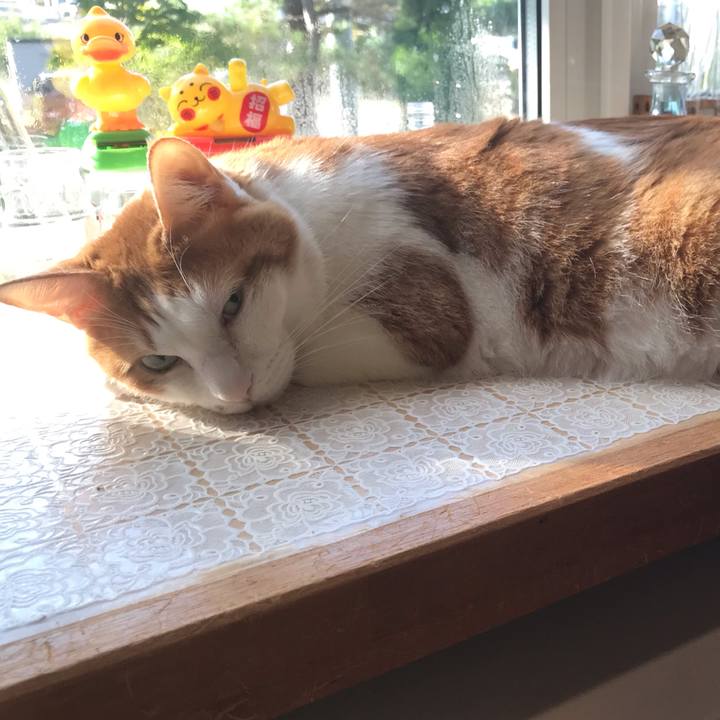 5ecc977d 97dc 4779 b7bc 7b9044820469 1567461315199