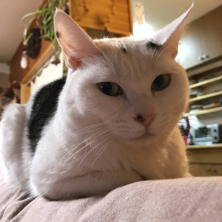 5ecca21a dbe9 4bd6 aa55 3177bc075c3f 1534419300121