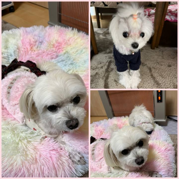 5ecce59d 2dc6 4aea a4c3 18aa7e4462c0 1731216971654