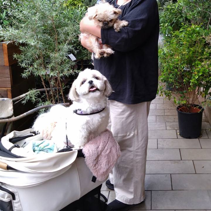 5ecd31ee 03e0 44bd baac 01e5421b065e 1747490532071