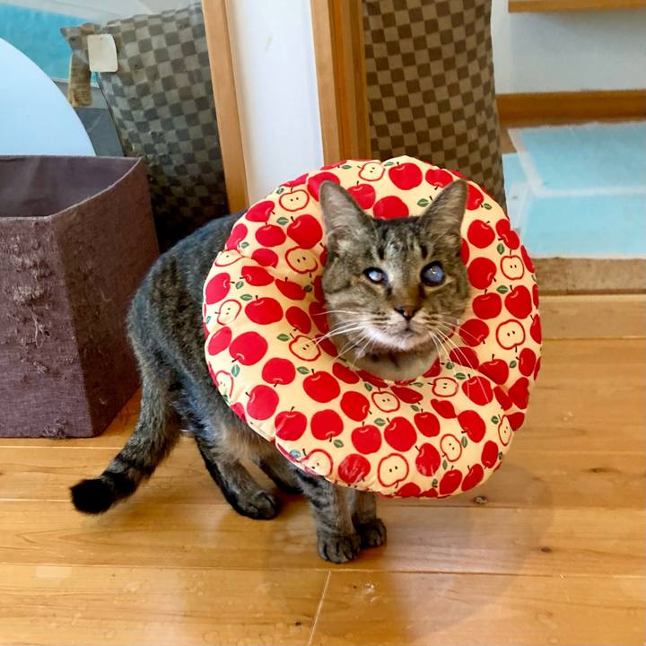 5ecd7e5e 2b68 4e90 a131 ae539d36b335 1683777089492