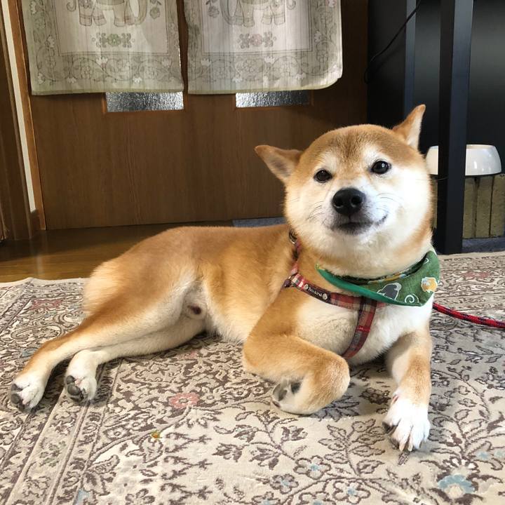 5ecda04a a502 4c1e a030 8e67a4dc1e36 1532315951174