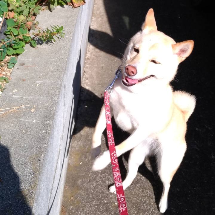 5ecda975 beb5 42e9 90b9 632267767c6b 1541938513541