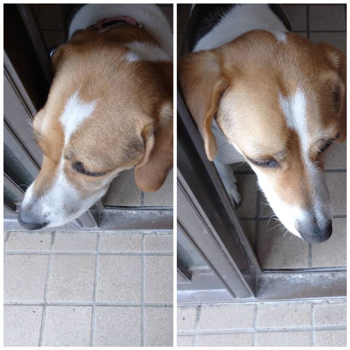 5ecdc18e 1961 4b18 9bf6 49991cc55387 1590291376161