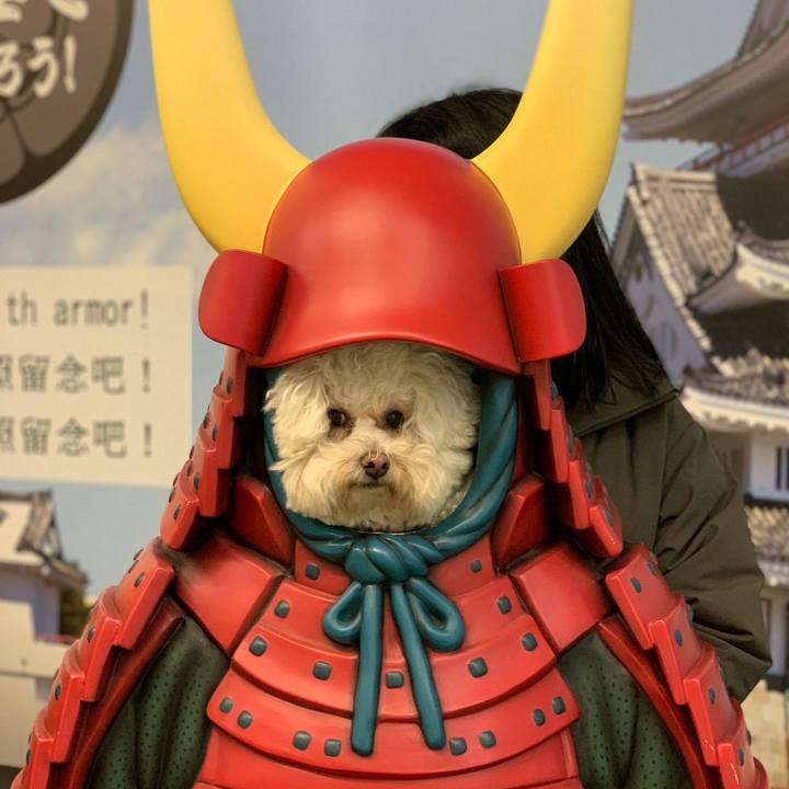 5ecdca04 c338 4db5 ab1c 13739db30de4 1675163739858