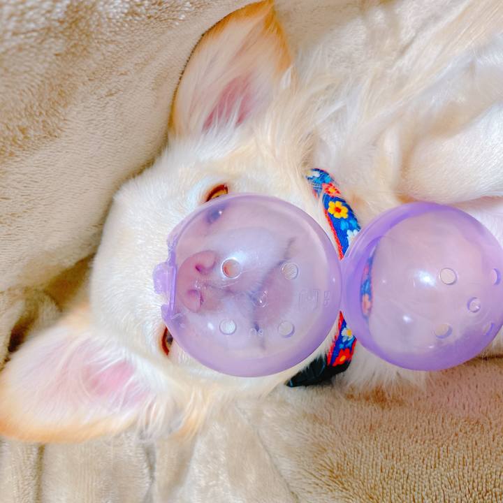 5ecdded7 7f76 4a6d 94d3 ef852ef5e1ce 1636637193852