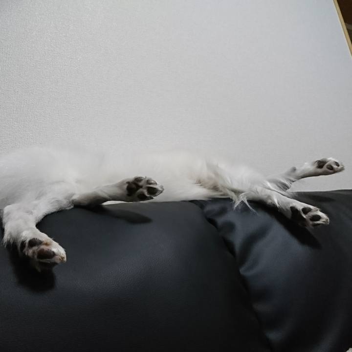 5ece020c b6b5 4103 8956 4eeeceee6705 1515930380145