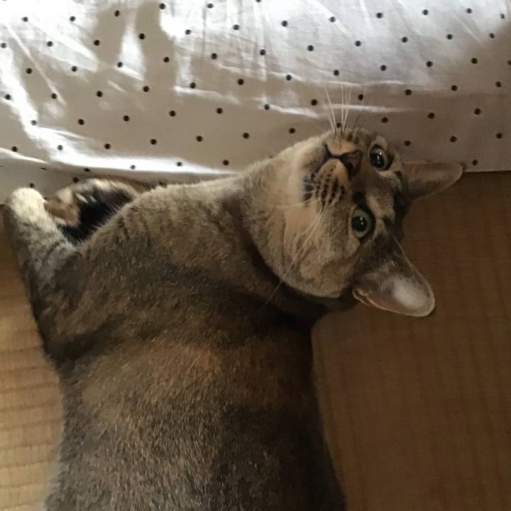 5ece127b a8f6 49b7 8572 7a65e062d21e 1627889402097