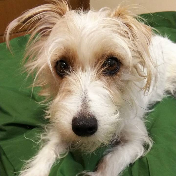 5ece278b 4bac 4242 904b 92340a6df1ae 1523544174507