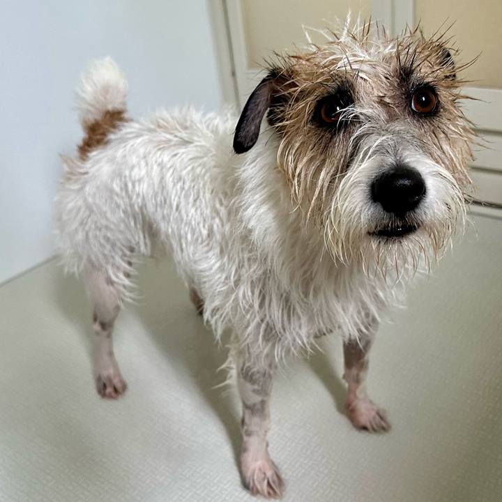 5ece3166 8746 4801 8e81 e114579c9db1 1751092486477