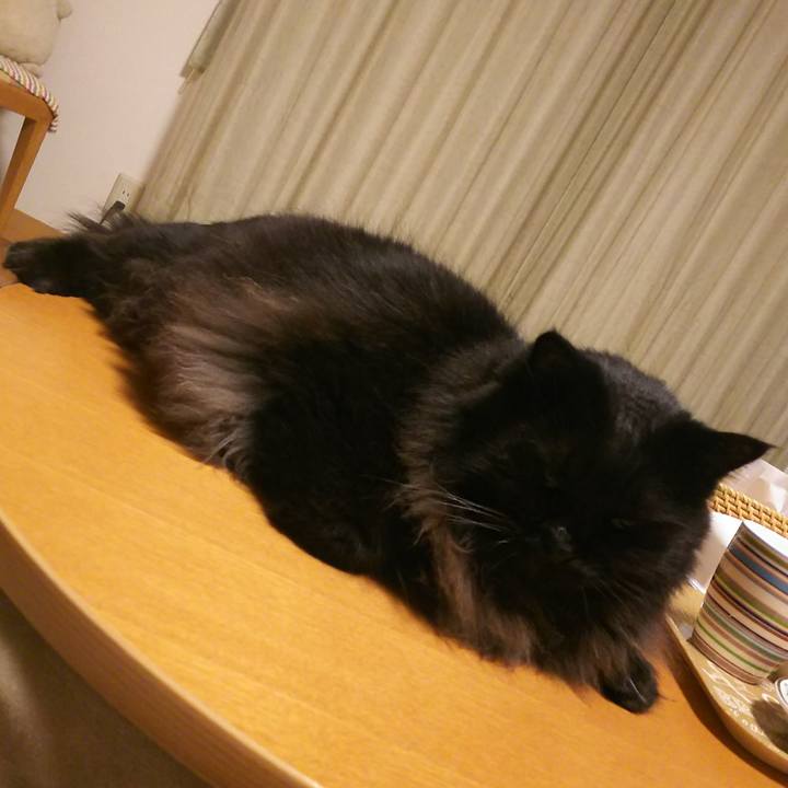 5ece573b 4245 4e34 b8e0 49eb3a7b3f2a 1573815469705