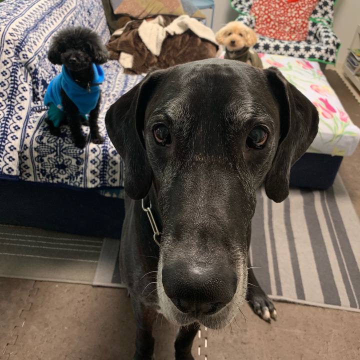 5ece6bbe 26c5 4006 b463 f9a086051498 1546556068793