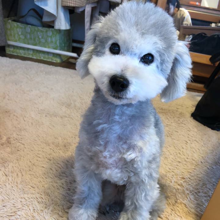 5ece8389 5d1a 4304 8ab9 971e4d2ace2a 1547682269591