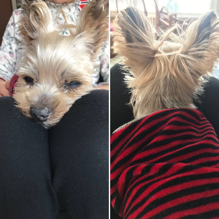 5ece84f2 c4e7 47f1 9b75 b9cb7e2425e6 1679652144086