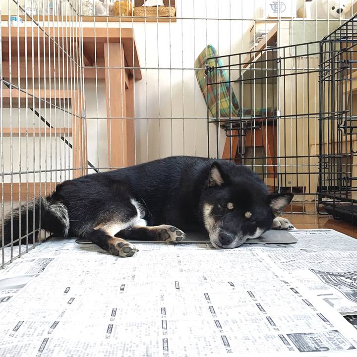 5ece95f4 d8aa 4807 8a34 ac2b7cb17f8e 1535597663798