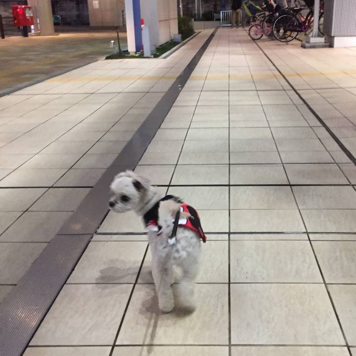 5eceb461 78cf 45d5 9bdf ffdae3305690 1507986358320