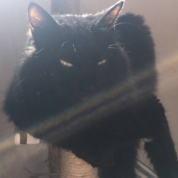 5eceb896 5c75 40a7 8eb0 eba3a374ecef 1533606812321