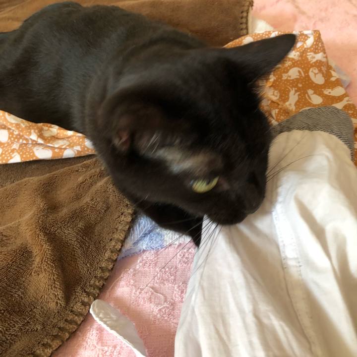 5ecefdfd 2e2d 4aa0 b8c7 cebe320d079e 1533943718981