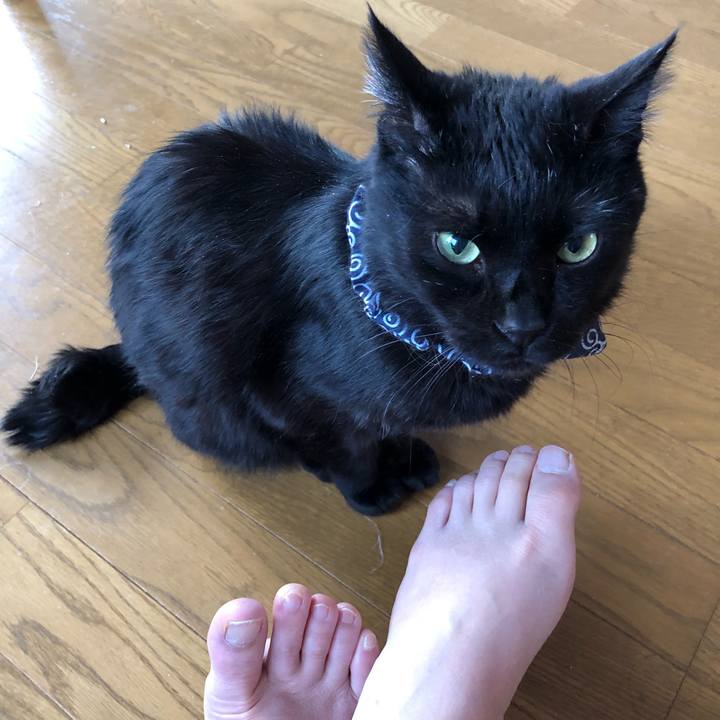 5ecf0295 c061 41bf 9ac0 c79bc7674f31 1553981154100