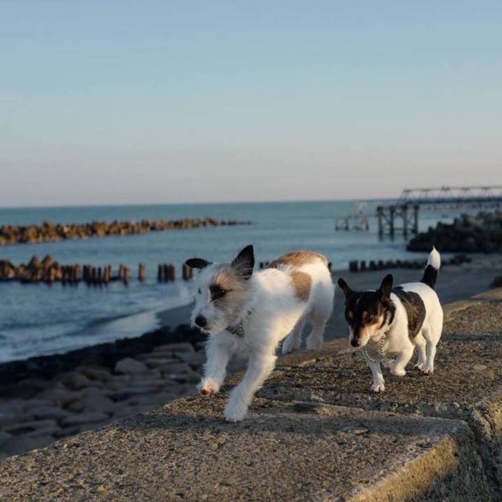 5ecf20b3 f4fe 40b2 b278 50f681ad6be2 1733204685083