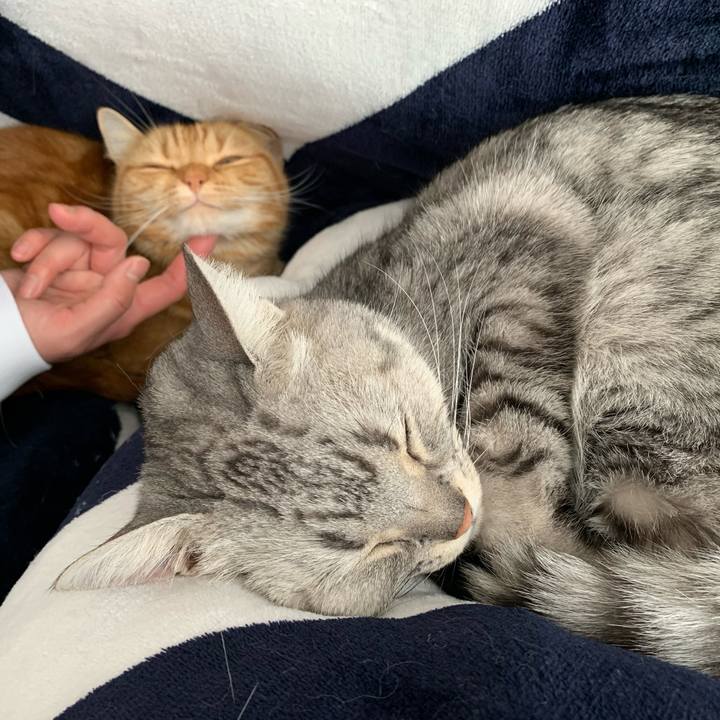 5ecf309d e374 4da0 9857 7beb1271f9d7 1647142596992