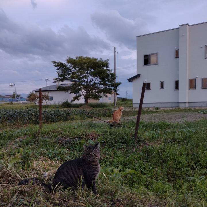 5ecf4f3c 909d 4cd2 8899 6915f0454d54 1663577397132