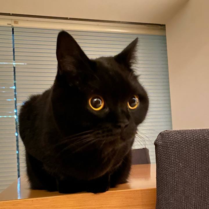 5ecf8144 9f6a 4aa9 be88 1caad93b0bf5 1660310750588