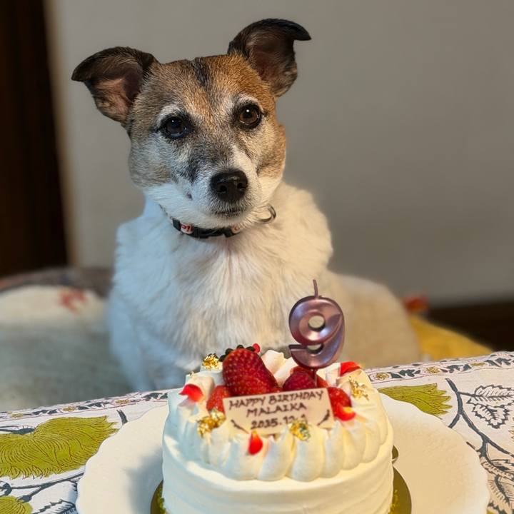 5ecf8f48 2e23 482a a5d1 88dfe6a36aae 1764590679996