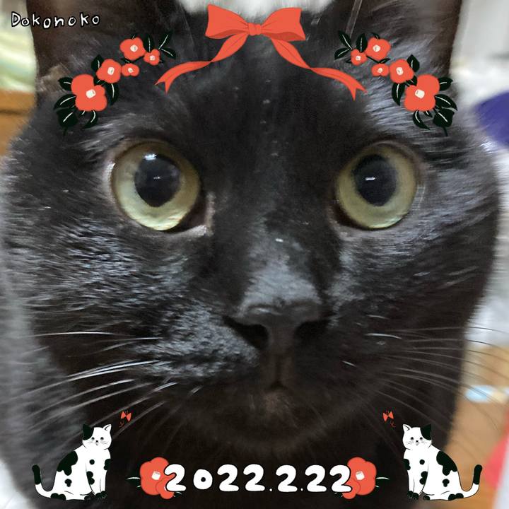 5ed03249 dbd6 4707 9d55 2cc4da52b0c3 1645497225301