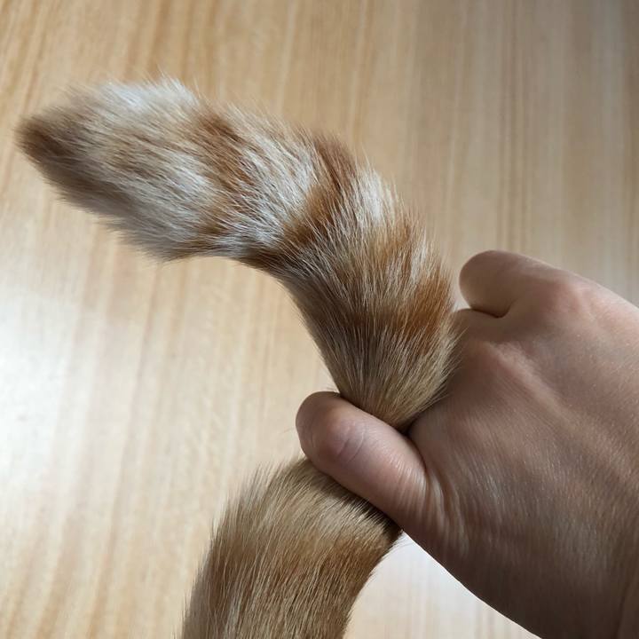 5ed03609 5507 4240 b784 4b7cc640ee18 1610751938847