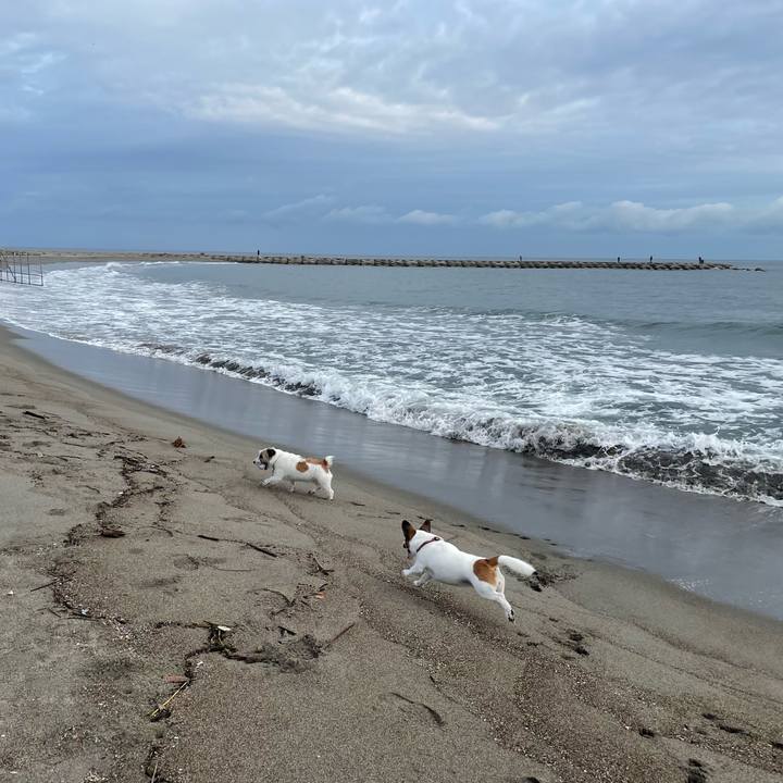 5ed039fb da65 4caa 97e7 093de1ff3420 1694819489842