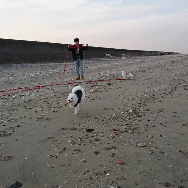 5ed06a71 fa52 401a a3c4 bc21cb55a23f 1551007387389