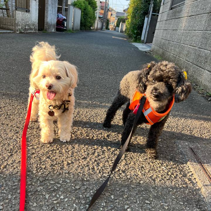 5ed0bca2 8074 4b7f 9439 80313f677c72 1755644480210