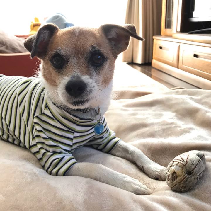 5ed0c761 3201 4d2c 91cf c964a8e849ca 1552607690647