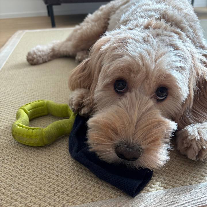 5ed11d91 e1b5 46f8 a691 7449b95fdd8f 1763514338075