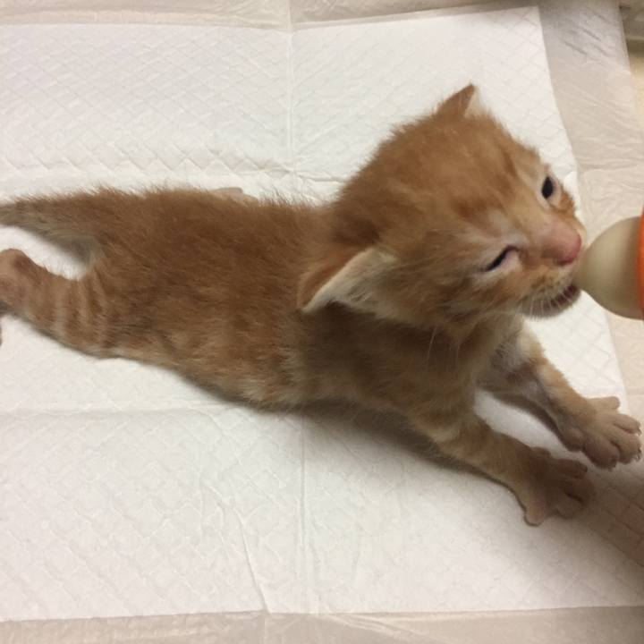 5ed15690 a80a 491b b44e 2f534b2a101e 1531960816379