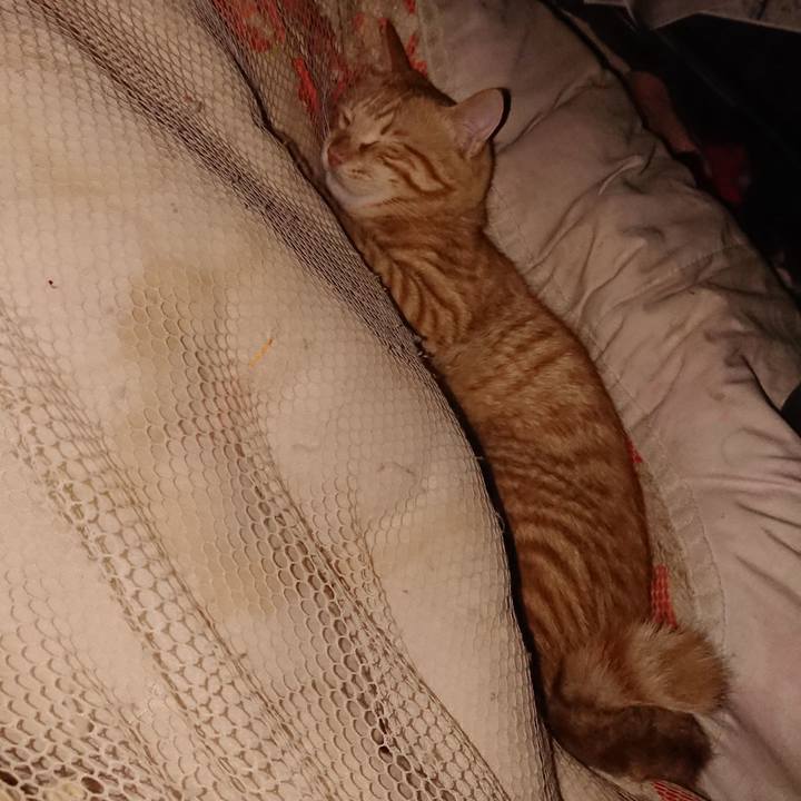 5ed1c7f5 a6f0 4ffa af76 481463859ae2 1643124703452