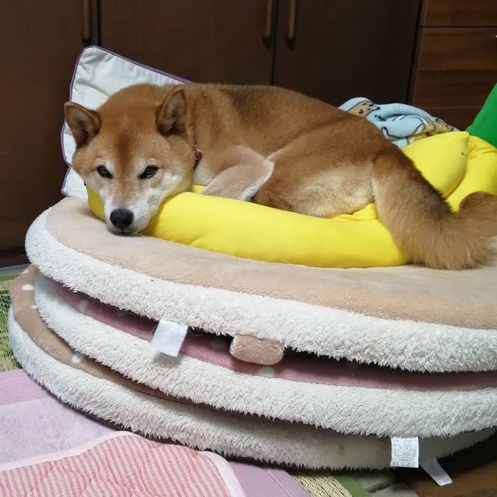 5ed220c4 aa85 4571 9214 fed58ae80c6c 1687449846248