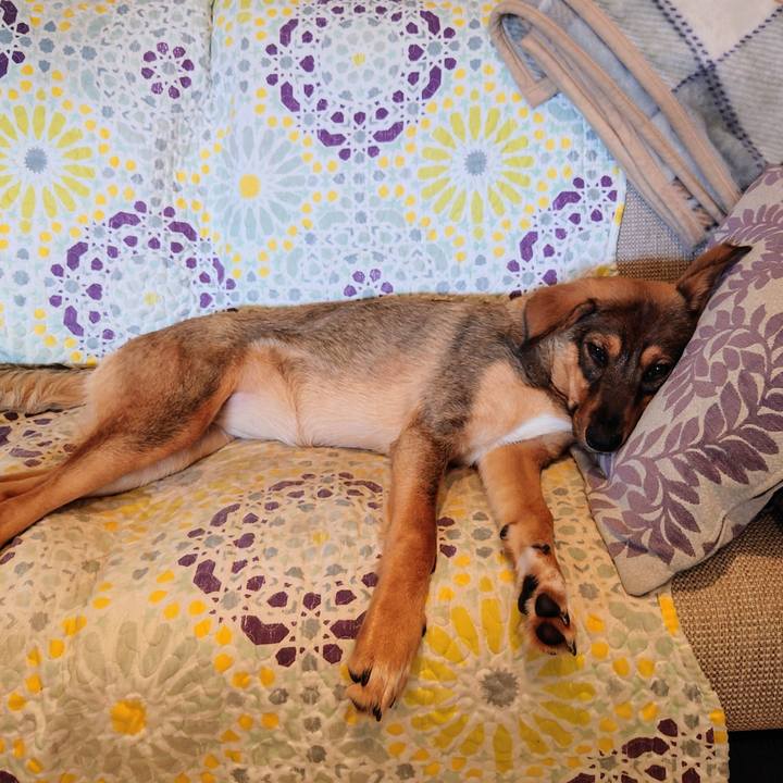 5ed22974 56bc 4550 88ed 4c87ca50111d 1686711900919