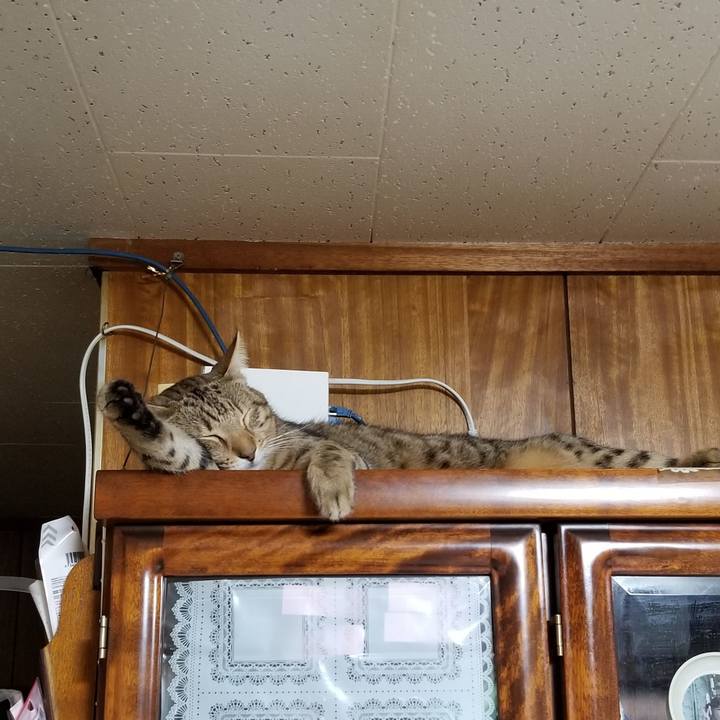 5ed22aef 23f2 406e 9e58 188ac2843387 1638100126586