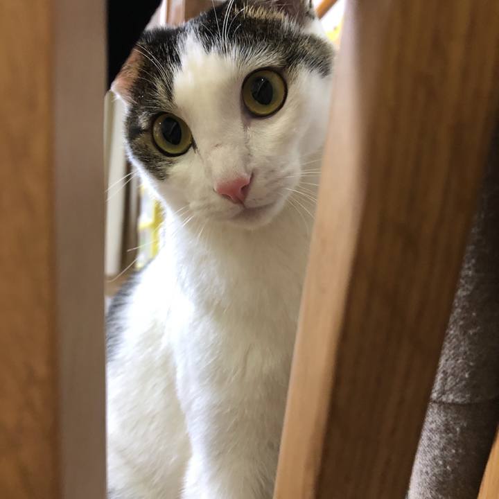 5ed23f08 6830 4962 a2d2 aa7ce2c2252f 1636448974718