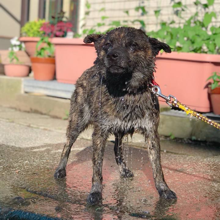 5ed243d3 06db 4361 975a 9b8a6e8e2773 1531045602549