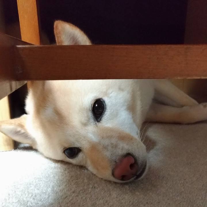 5ed2975e 313a 45ed 8763 ea881df17965 1562936930065