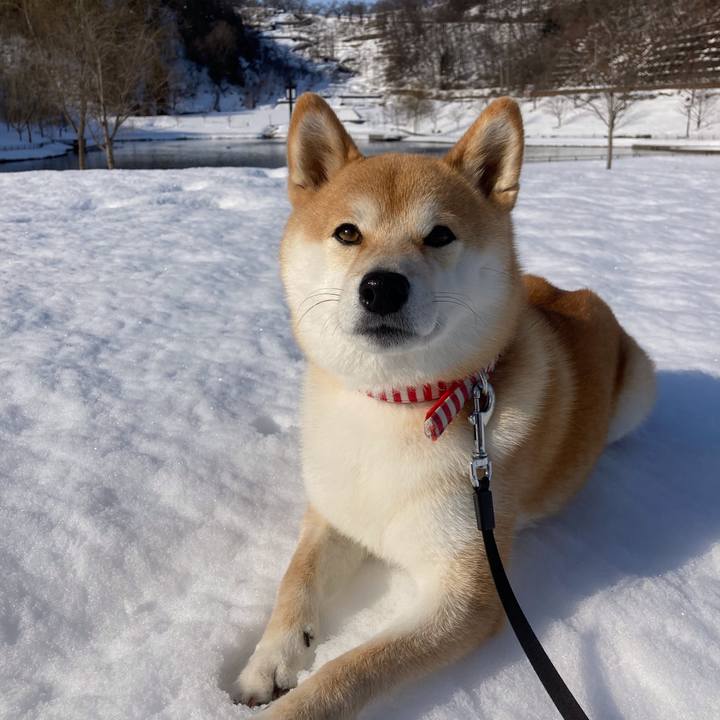 5ed2b24c 1dff 4b57 b067 d8985d1b3755 1646705291190