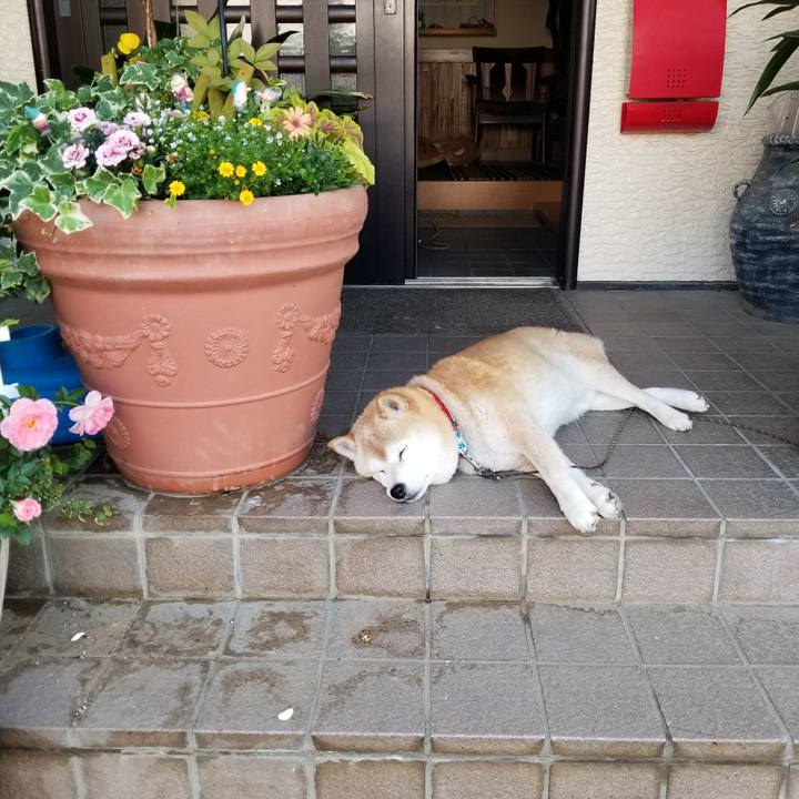 5ed322f0 4827 4e6b 963a fb1454995a76 1718058829379