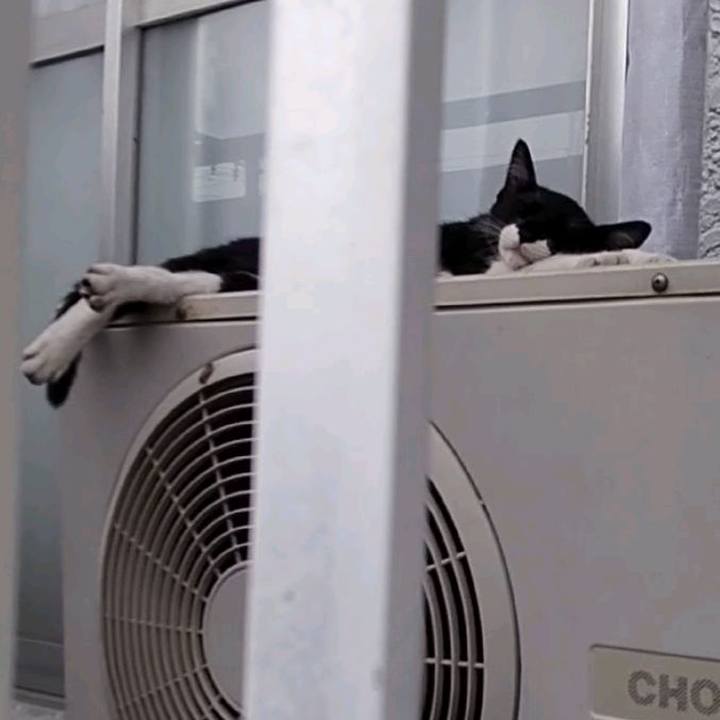 5ed331ab 7457 4ded 85f5 adc398205729 1624843864374