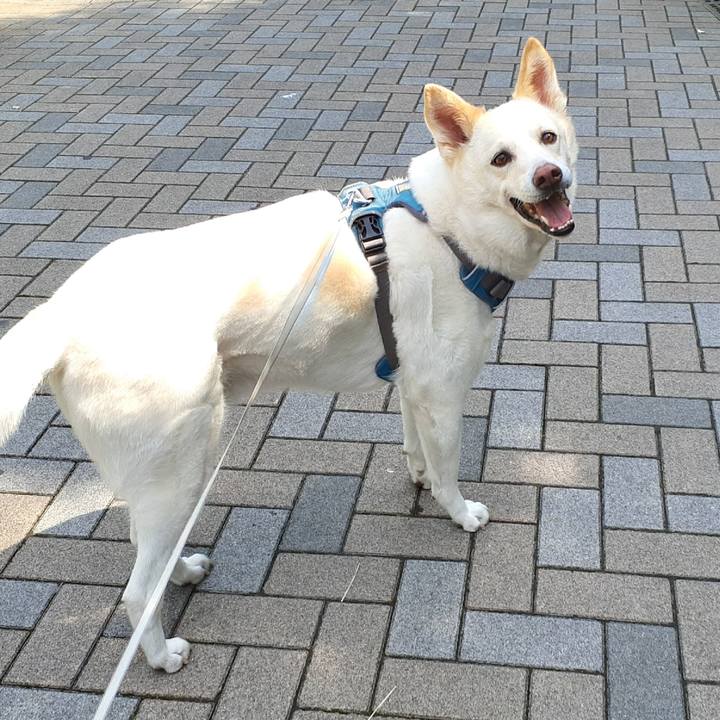 5ed331f9 334a 4153 a7b5 fc43b2681b9a 1651721106599