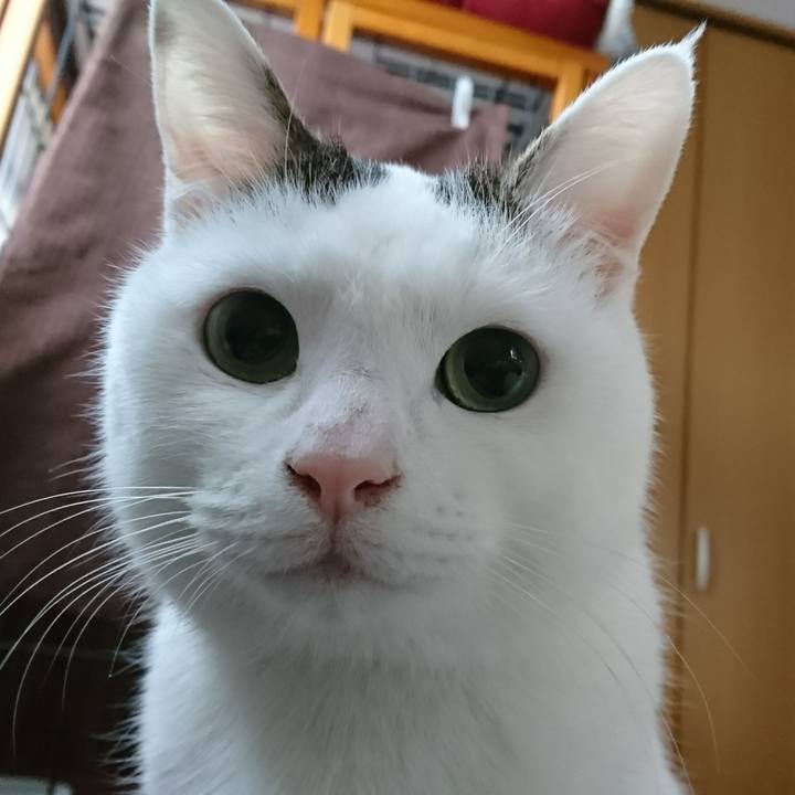 5ed35081 f752 4243 add9 9424504ffa64 1549538039797