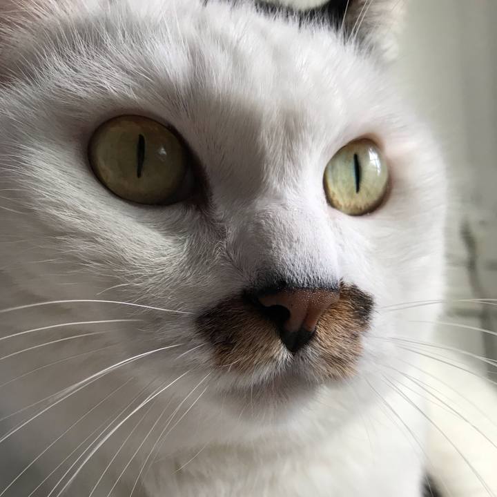 5ed364ec cedd 4d39 adff 19d8f41b8c79 1541130420317