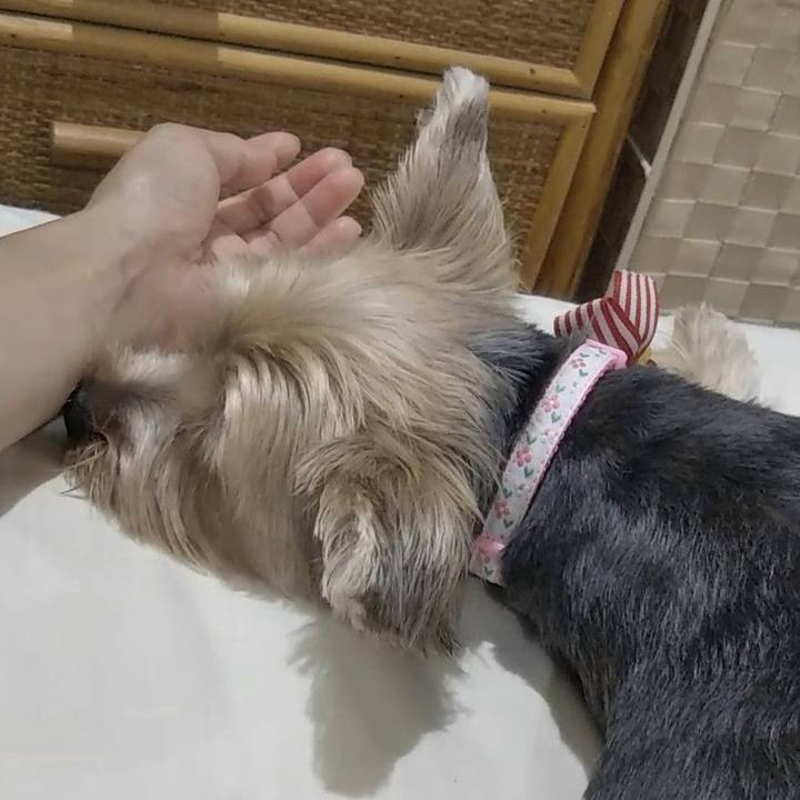 5ed39883 6879 4af7 9db9 07aa5f22797d 1564797330792